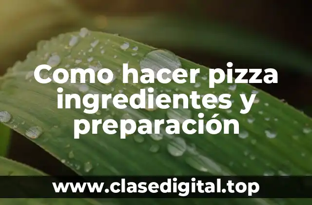 Como hacer pizza ingredientes y preparación