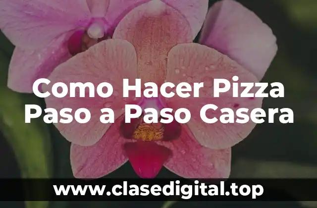 Como Hacer Pizza Paso a Paso Casera