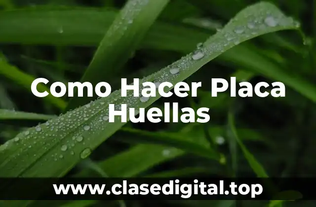 Como Hacer Placa Huellas
