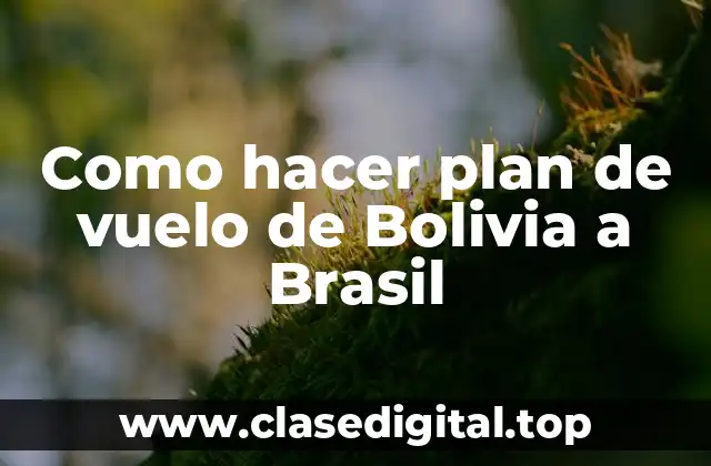 Como hacer plan de vuelo de Bolivia a Brasil