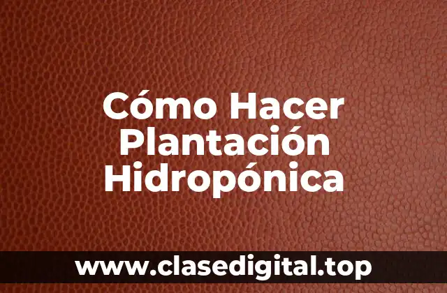 Cómo Hacer Plantación Hidropónica