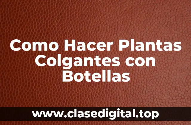Como Hacer Plantas Colgantes con Botellas