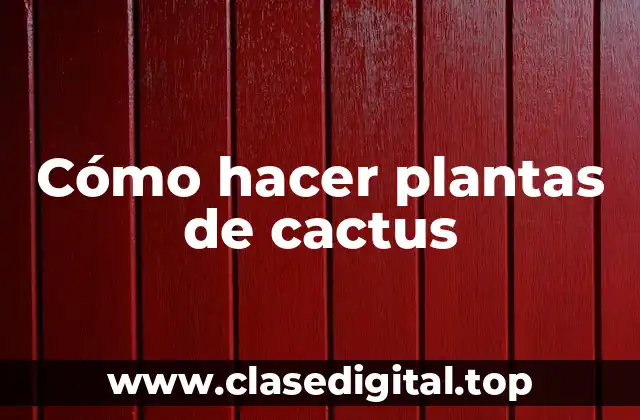 Cómo hacer plantas de cactus
