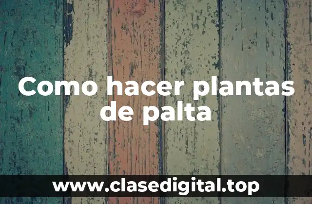 Como hacer plantas de palta