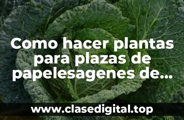 Como hacer plantas para plazas de papelesagenes de amor