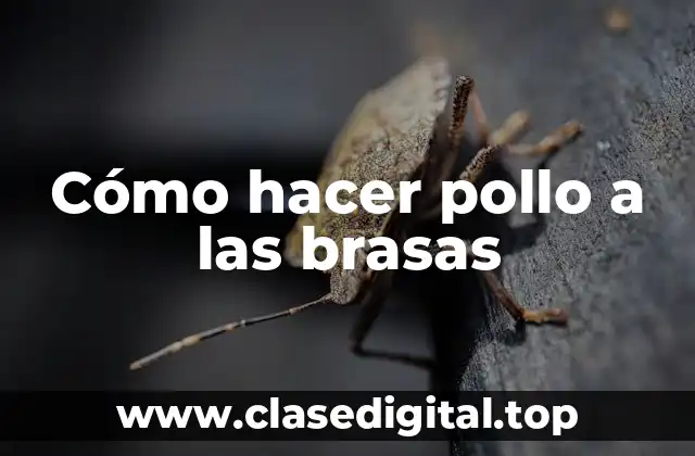 Cómo hacer pollo a las brasas