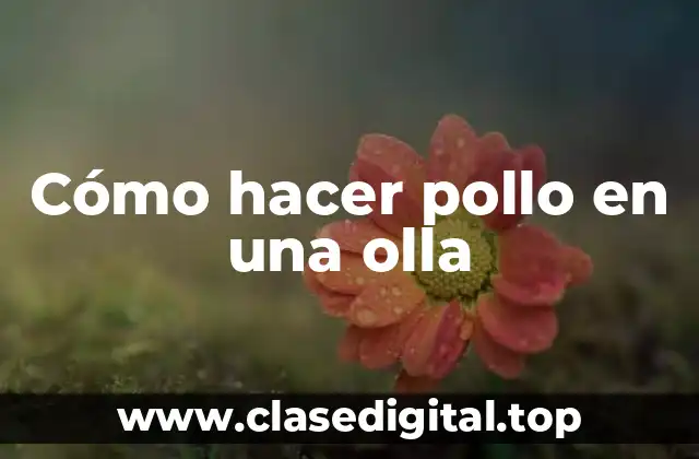 Cómo hacer pollo en una olla