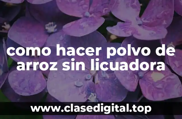 como hacer polvo de arroz sin licuadora