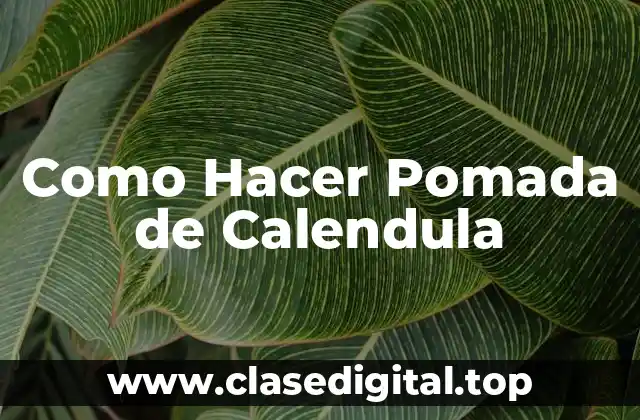 ¿Qué es la Pomada de Calendula y para Qué Sirve?