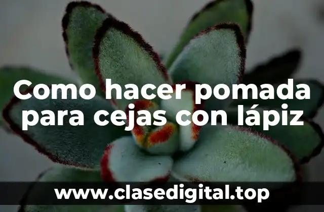 Como hacer pomada para cejas con lápiz