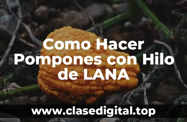 Como Hacer Pompones con Hilo de LANA