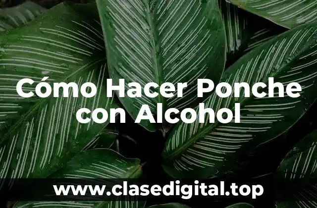 ¿Qué es un Ponche con Alcohol y para Qué Sirve?