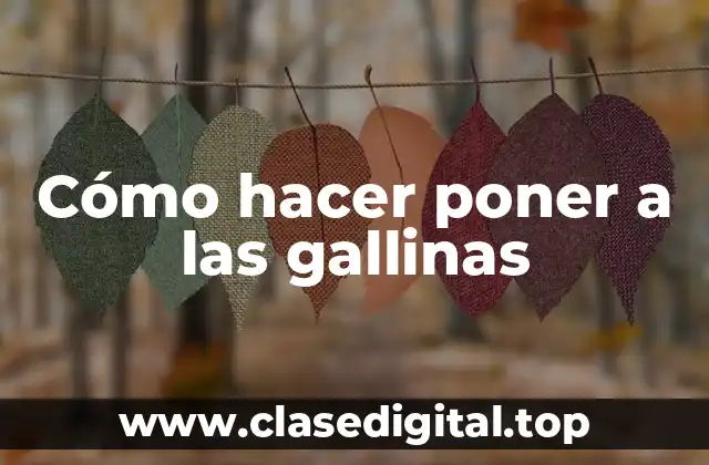 Cómo hacer poner a las gallinas