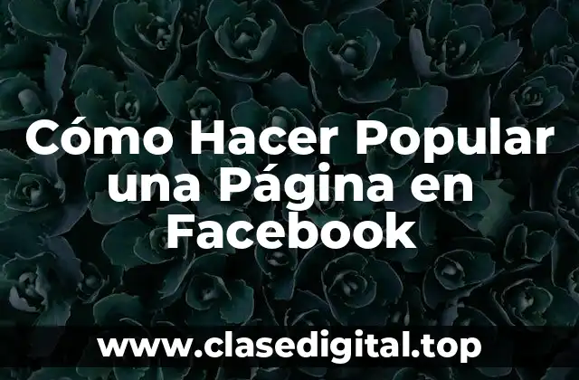 Cómo Hacer Popular una Página en Facebook