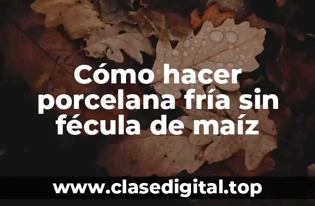 ¿Qué es la porcelana fría y para qué sirve?