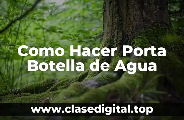 Como Hacer Porta Botella de Agua