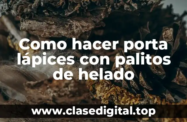 ¿Qué es un porta lápices con palitos de helado?