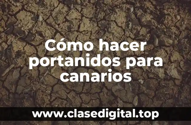 Cómo hacer portanidos para canarios