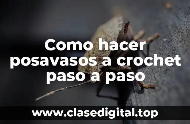 Qué son los posavasos a crochet y para qué sirven