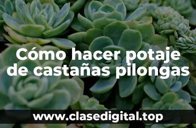 Cómo hacer potaje de castañas pilongas