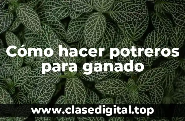 Cómo hacer potreros para ganado