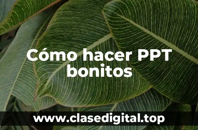 Cómo hacer PPT bonitos