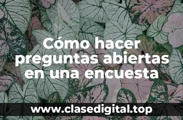 Cómo hacer preguntas abiertas en una encuesta