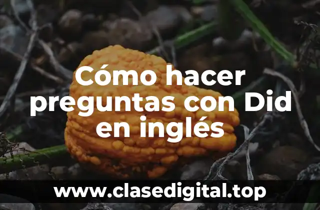 ¿Qué es Did y cómo se usa en preguntas en inglés?