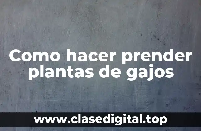 Que es hacer prender plantas de gajos y como se utiliza