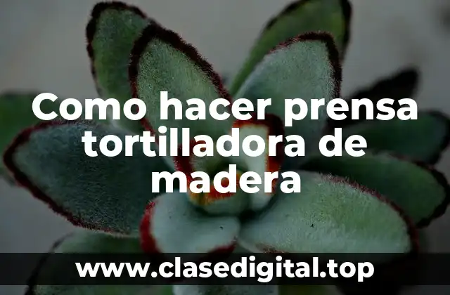 Como hacer prensa tortilladora de madera