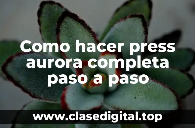 Como hacer press aurora completa paso a paso