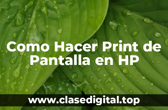 Como Hacer Print de Pantalla en HP