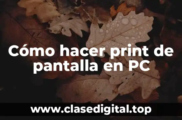 Cómo hacer print de pantalla en PC
