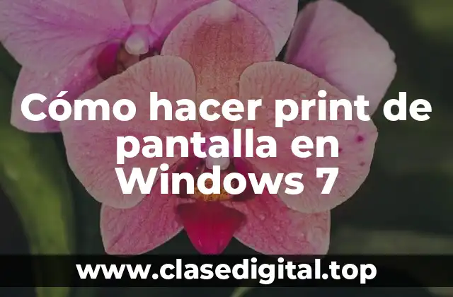 Cómo hacer print de pantalla en Windows 7