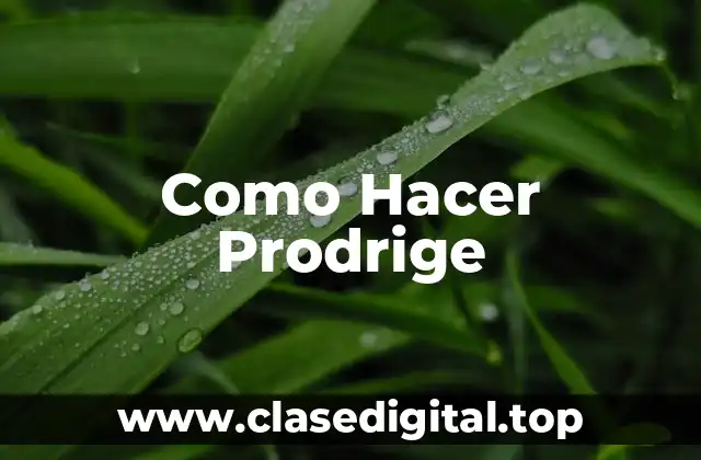 Como Hacer Prodrige
