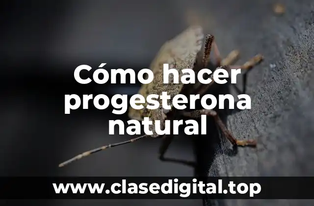 Cómo hacer progesterona natural