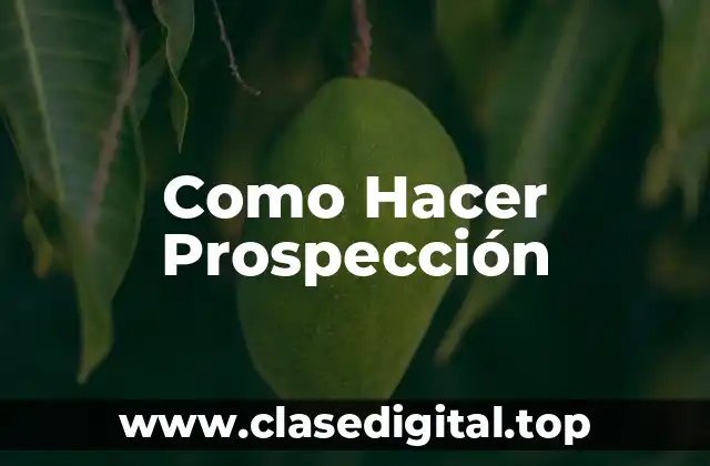 Como Hacer Prospección