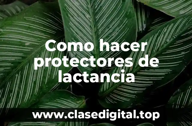 Que son los protectores de lactancia y para qué sirven