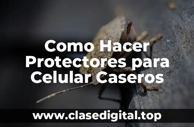 Como Hacer Protectores para Celular Caseros