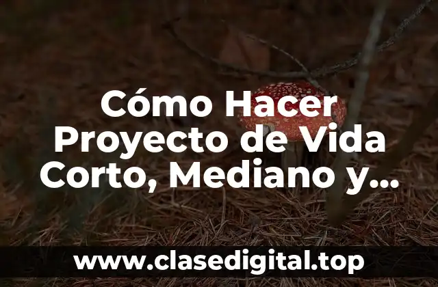 Cómo Hacer Proyecto de Vida Corto, Mediano y Largo Plazo