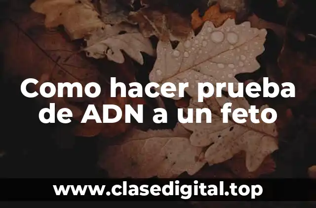 ¿Qué es una prueba de ADN prenatal?