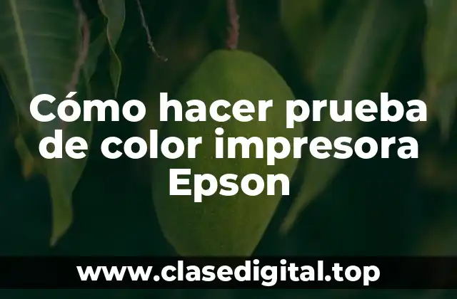 Cómo hacer prueba de color impresora Epson