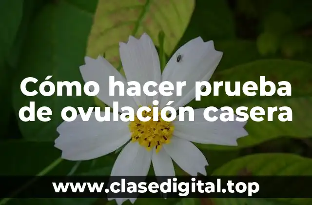Cómo hacer prueba de ovulación casera