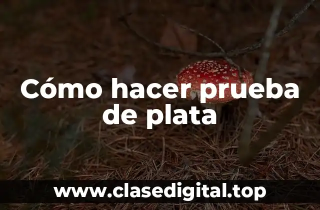 Cómo hacer prueba de plata