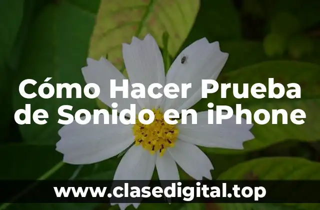 Cómo Hacer Prueba de Sonido en iPhone