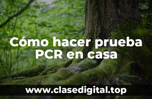 Cómo hacer prueba PCR en casa