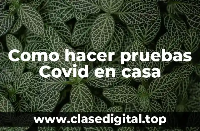 Como hacer pruebas Covid en casa