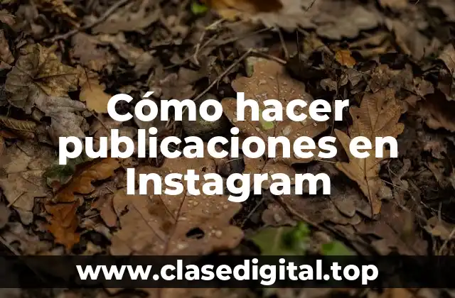 Cómo hacer publicaciones en Instagram