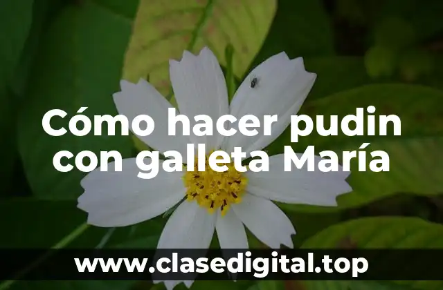 Cómo hacer pudin con galleta María