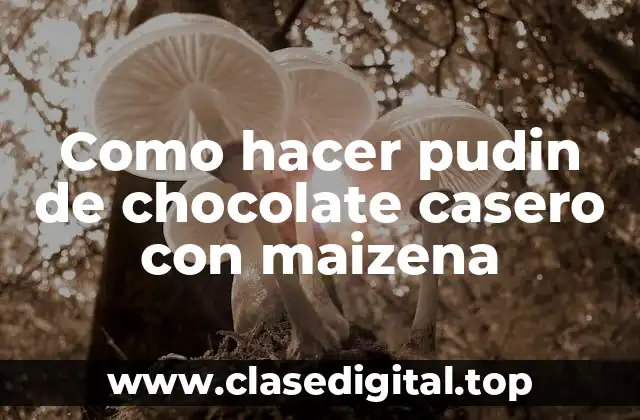 Como hacer pudin de chocolate casero con maizena